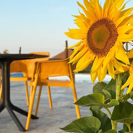 Casa Canem ベッド・アンド・ブレックファスト バダチョニトマイ