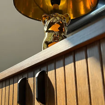 ベッド・アンド・ブレックファスト Casa Canem バダチョニトマイ