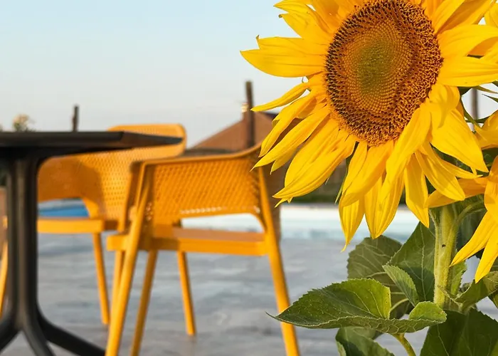 Casa Canem Bed & Breakfast Badacsonytomaj